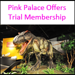 Pink Palace offering free summer membership